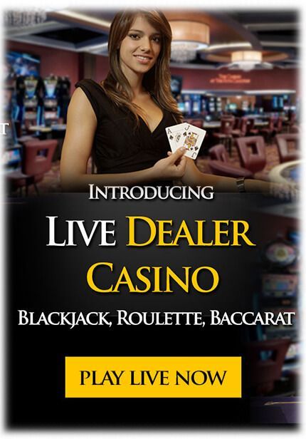 Bookmaker Casino and Sportsbook